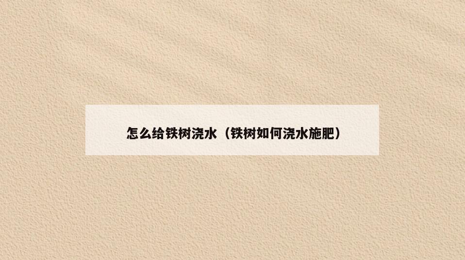 怎么给铁树浇水(铁树如何浇水施肥)