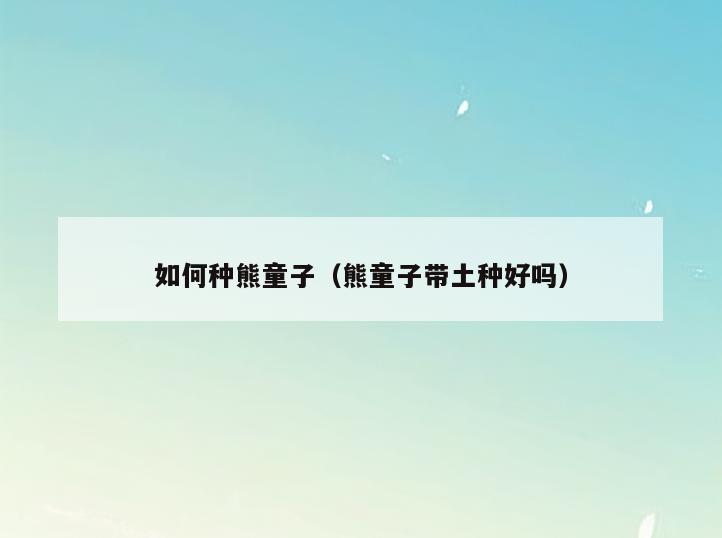 如何种熊童子(熊童子带土种好吗)