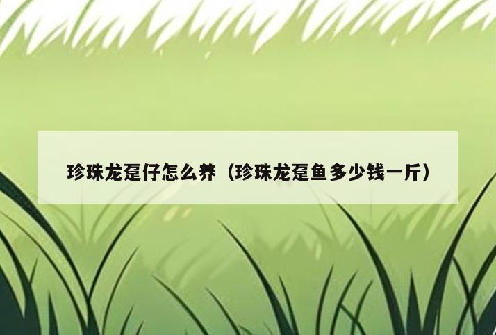 珍珠龙趸仔怎么养(珍珠龙趸鱼多少钱一斤)