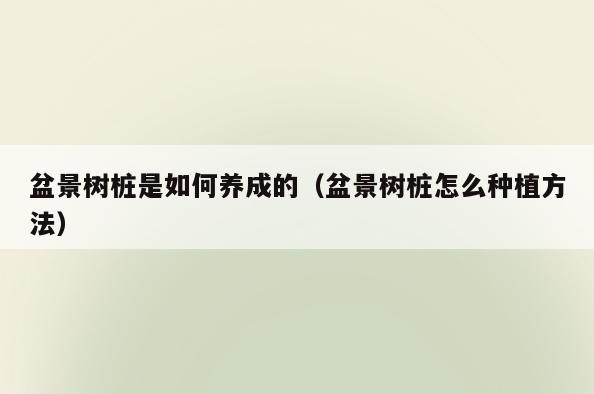 盆景树桩是如何养成的(盆景树桩怎么种植方法)