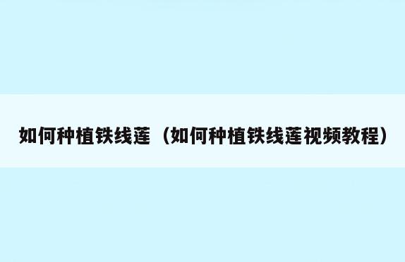 如何种植铁线莲(如何种植铁线莲视频教程)