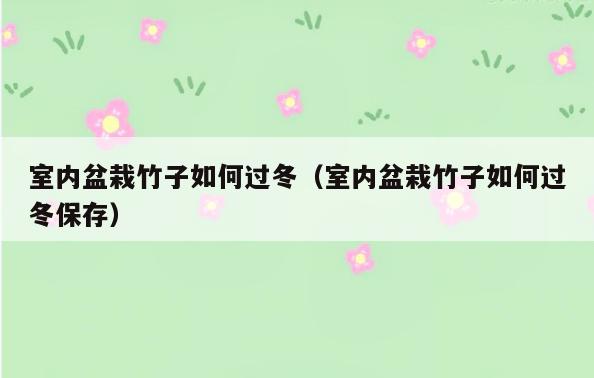 室内盆栽竹子如何过冬(室内盆栽竹子如何过冬保存)