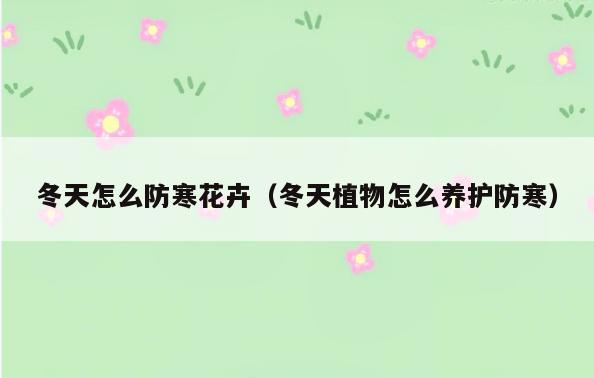 冬天怎么防寒花卉(冬天植物怎么养护防寒)