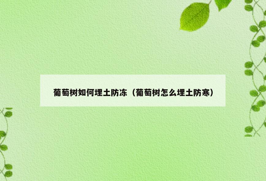 葡萄树如何埋土防冻(葡萄树怎么埋土防寒)