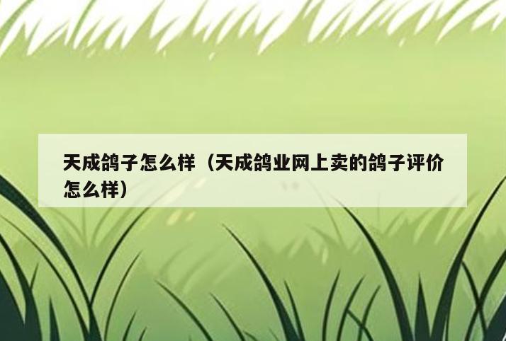 天成鸽子怎么样(天成鸽业网上卖的鸽子评价怎么样)
