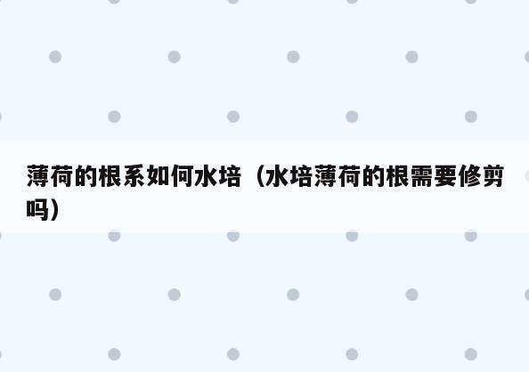 薄荷的根系如何水培(水培薄荷的根需要修剪吗)