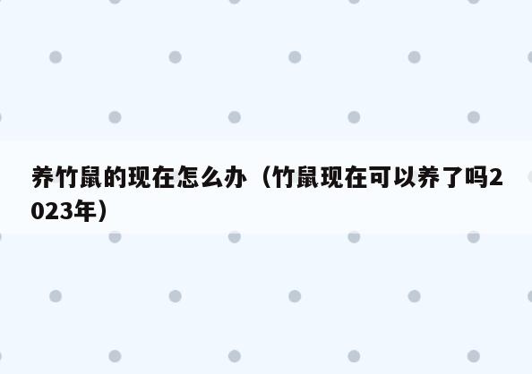 养竹鼠的现在怎么办(竹鼠现在可以养了吗2023年)