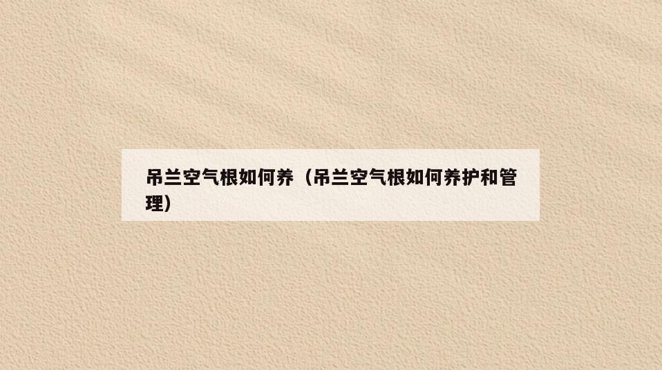 吊兰空气根如何养(吊兰空气根如何养护和管理)