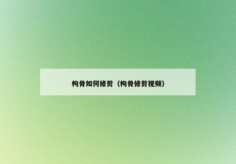 枸骨如何修剪(枸骨修剪视频)