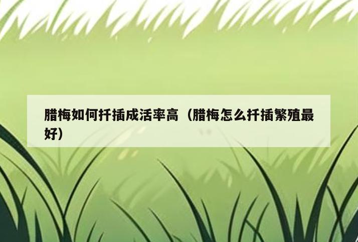 腊梅如何扦插成活率高(腊梅怎么扦插繁殖最好)