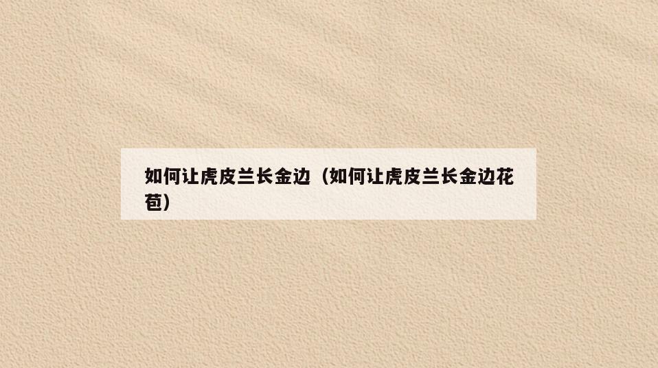 如何让虎皮兰长金边(如何让虎皮兰长金边花苞)