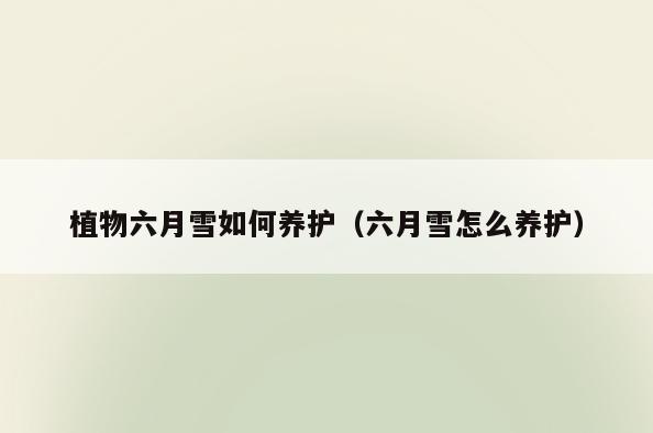 植物六月雪如何养护(六月雪怎么养护)