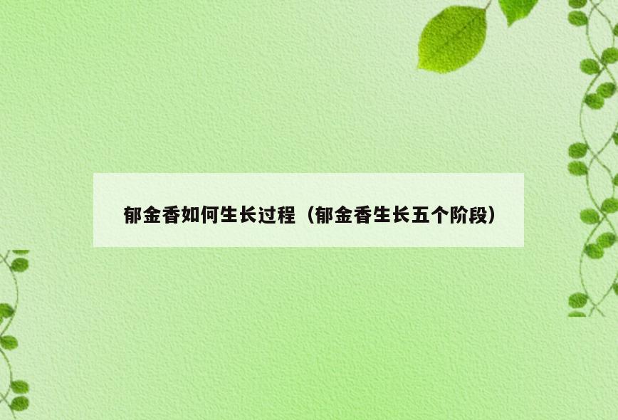 郁金香如何生长过程(郁金香生长五个阶段)