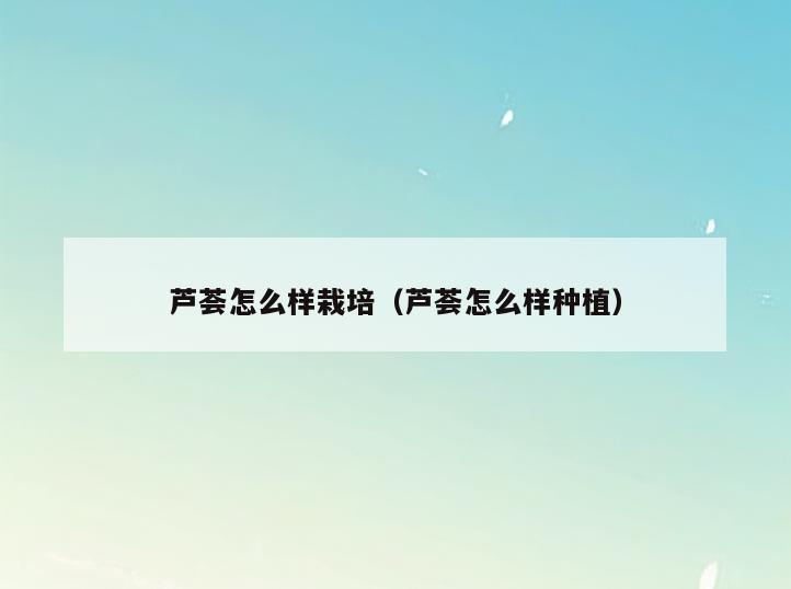 芦荟怎么样栽培(芦荟怎么样种植)