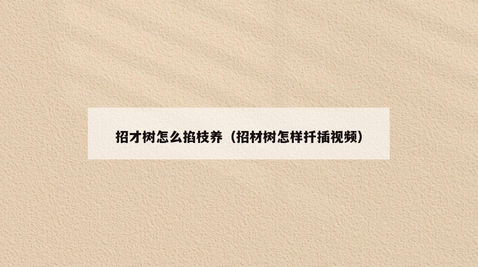 招才树怎么掐枝养(招材树怎样扦插视频)