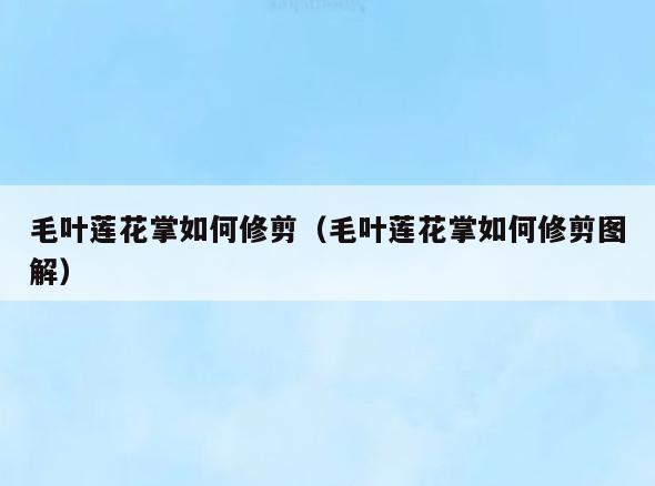 毛叶莲花掌如何修剪(毛叶莲花掌如何修剪图解)