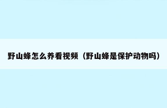 野山蜂怎么养看视频(野山蜂是保护动物吗)