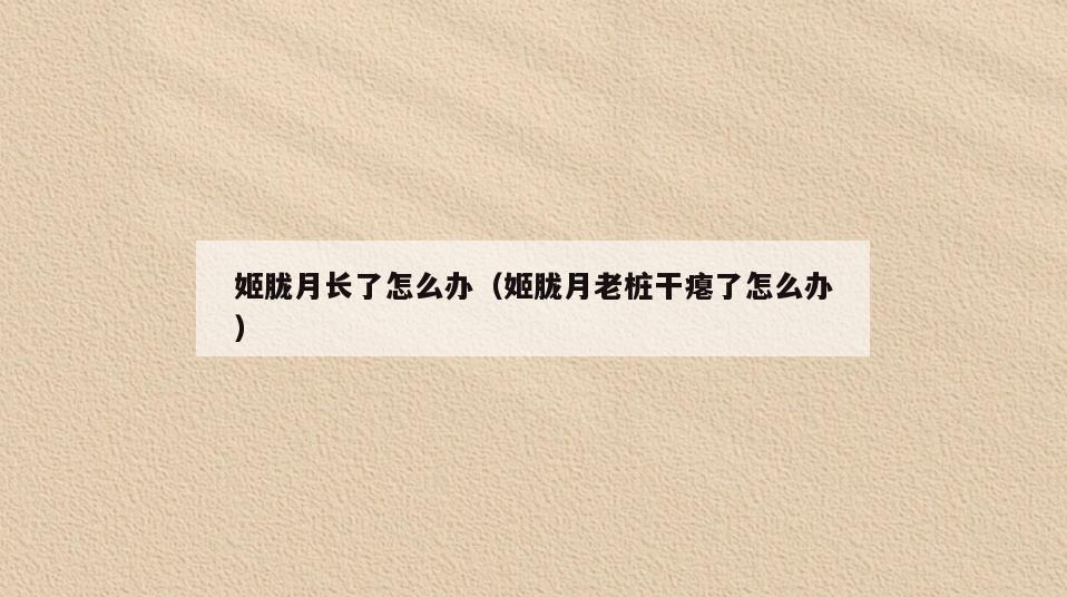 姬胧月长了怎么办(姬胧月老桩干瘪了怎么办)