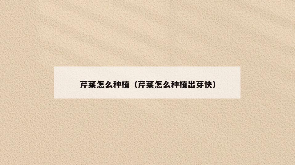 芹菜怎么种植(芹菜怎么种植出芽快)