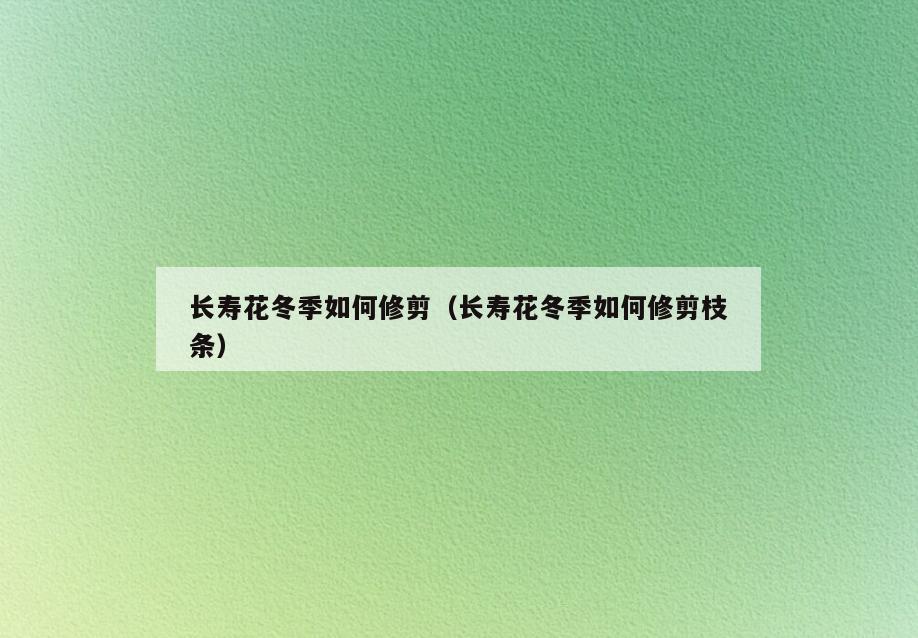 长寿花冬季如何修剪(长寿花冬季如何修剪枝条)