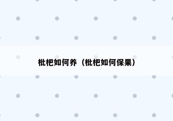 枇杷如何养(枇杷如何保果)
