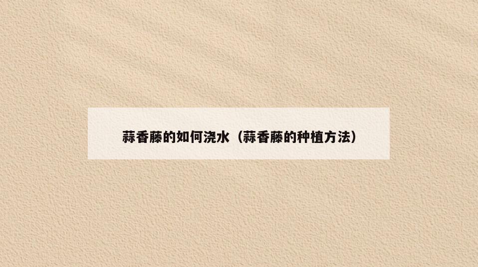 蒜香藤的如何浇水(蒜香藤的种植方法)