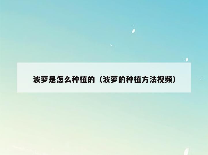 波萝是怎么种植的(波萝的种植方法视频)