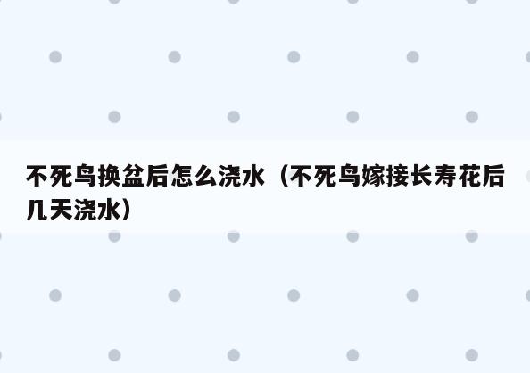不死鸟换盆后怎么浇水(不死鸟嫁接长寿花后几天浇水)
