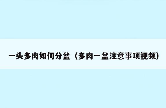 一头多肉如何分盆(多肉一盆注意事项视频)