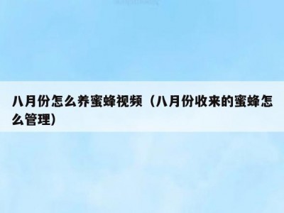八月份怎么养蜜蜂视频（八月份收来的蜜蜂怎么管理）