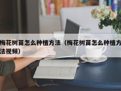 梅花树苗怎么种植方法（梅花树苗怎么种植方法视频）