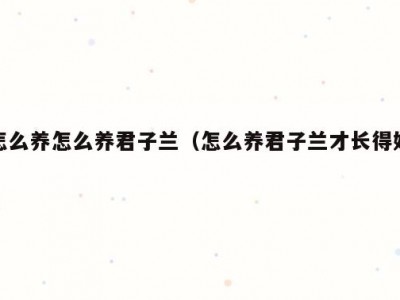 怎么养怎么养君子兰（怎么养君子兰才长得好）