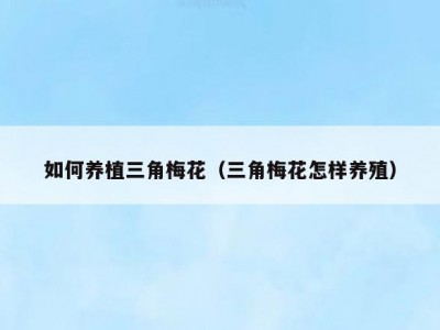 如何养植三角梅花（三角梅花怎样养殖）