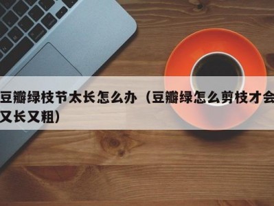 豆瓣绿枝节太长怎么办（豆瓣绿怎么剪枝才会又长又粗）