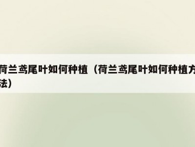 荷兰鸢尾叶如何种植（荷兰鸢尾叶如何种植方法）