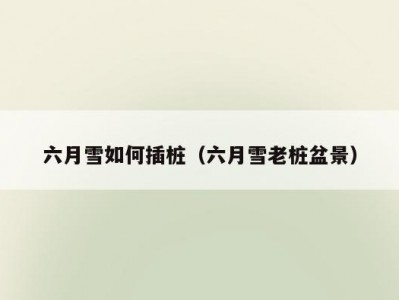 六月雪如何插桩（六月雪老桩盆景）