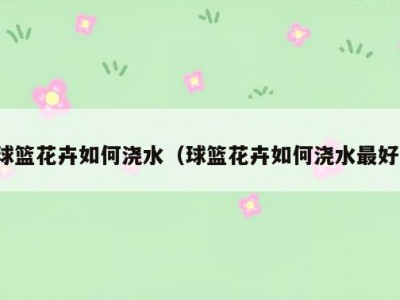 球篮花卉如何浇水（球篮花卉如何浇水最好）