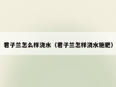 君子兰怎么样浇水（君子兰怎样浇水施肥）