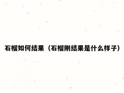 石榴如何结果（石榴刚结果是什么样子）