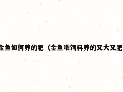 金鱼如何养的肥（金鱼喂饲料养的又大又肥）