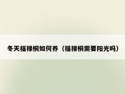 冬天福禄桐如何养（福禄桐需要阳光吗）
