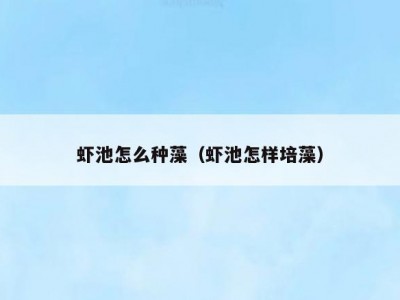虾池怎么种藻（虾池怎样培藻）