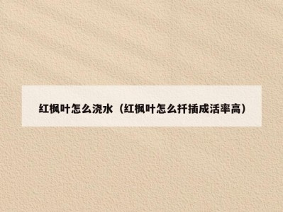 红枫叶怎么浇水（红枫叶怎么扦插成活率高）