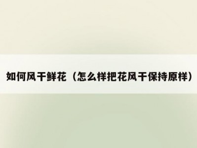 如何风干鲜花（怎么样把花风干保持原样）