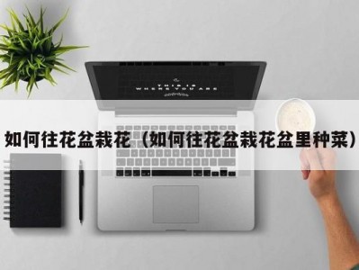 如何往花盆栽花（如何往花盆栽花盆里种菜）