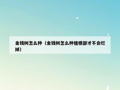 金钱树怎么种（金钱树怎么种植根部才不会烂掉）