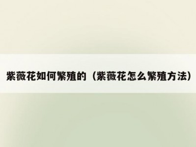 紫薇花如何繁殖的（紫薇花怎么繁殖方法）