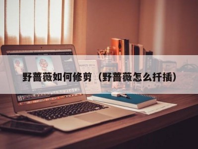 野蔷薇如何修剪（野蔷薇怎么扦插）