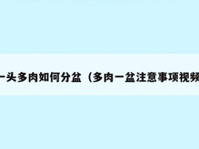 一头多肉如何分盆（多肉一盆注意事项视频）
