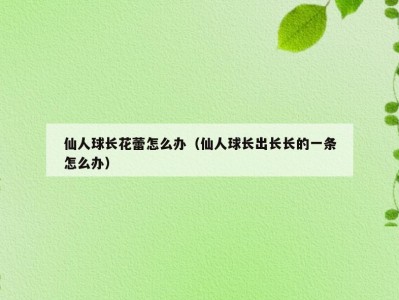 仙人球长花蕾怎么办（仙人球长出长长的一条怎么办）